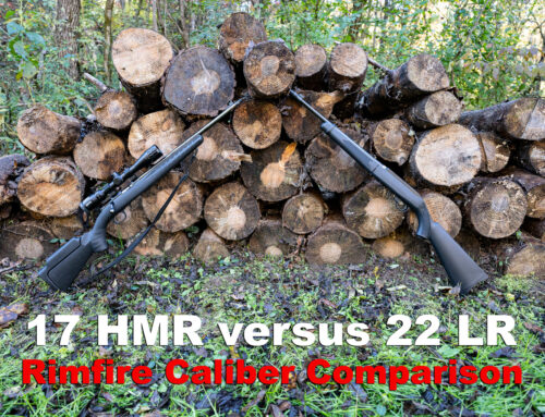 17 HMR vs 22