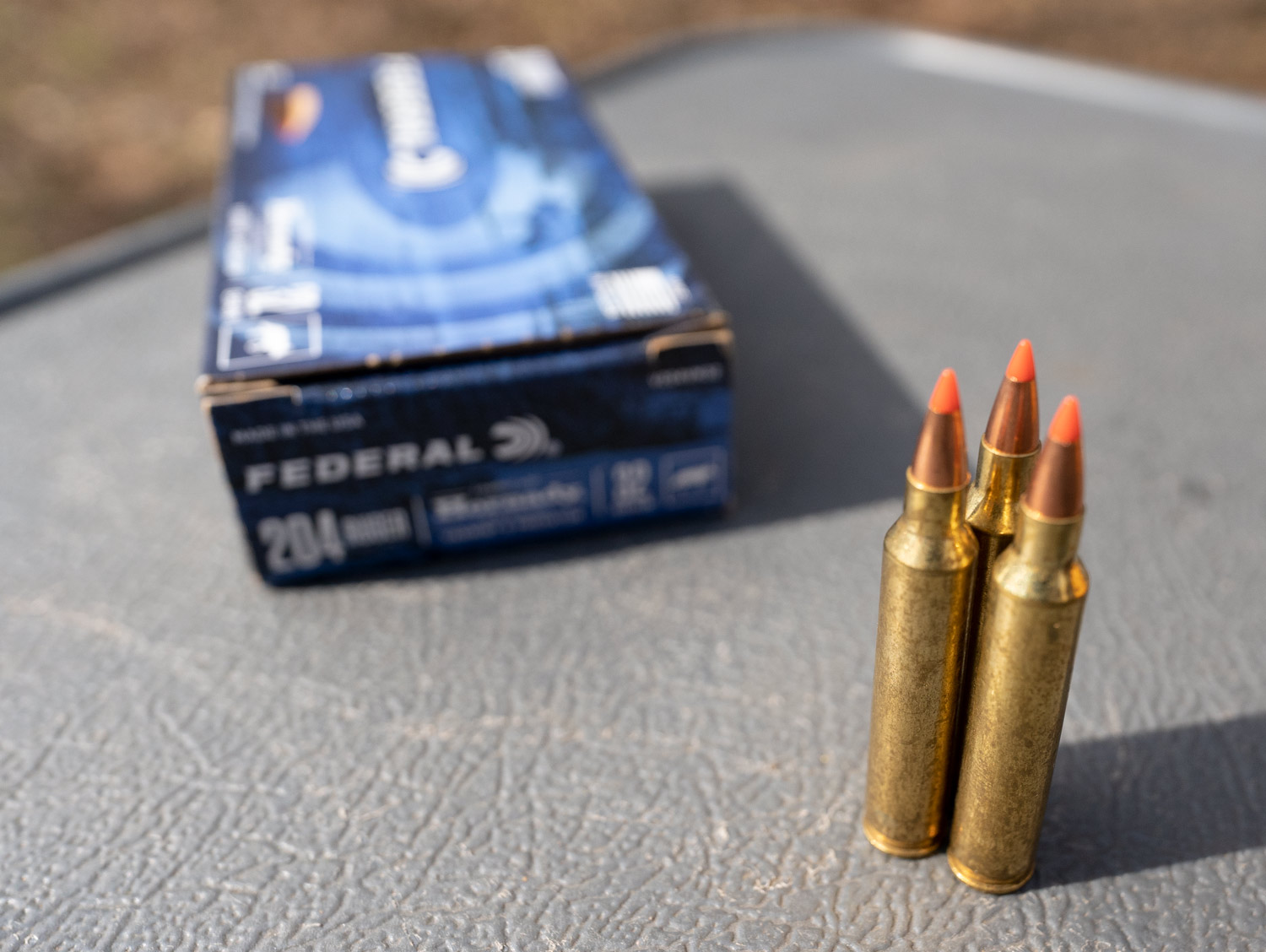 204 Ruger ammo with a polymer tip