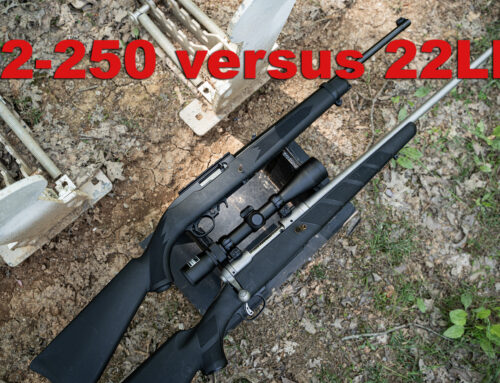 22-250 vs 22LR