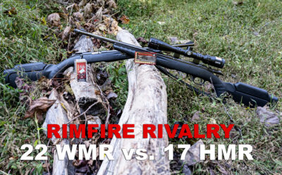 22 WMR vs 17 HMR | What's Better & What's the Difference?