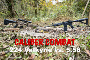 224 valkyrie vs 5.56