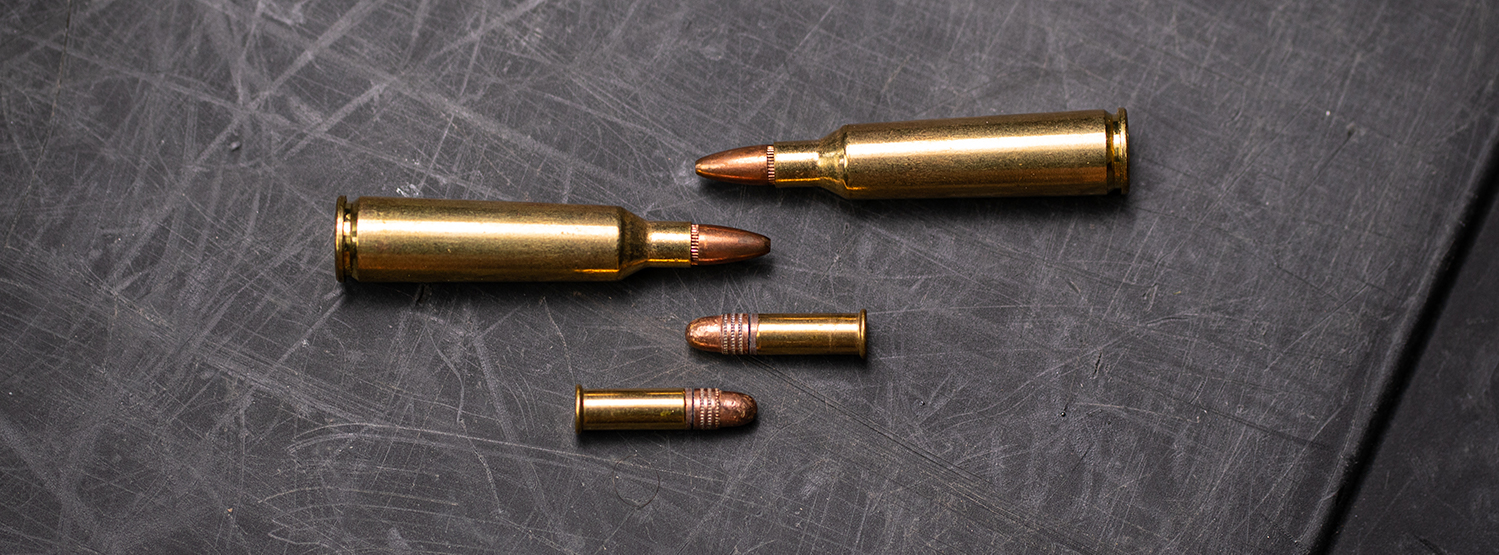 22 250 Vs 22LR AmmoForSale