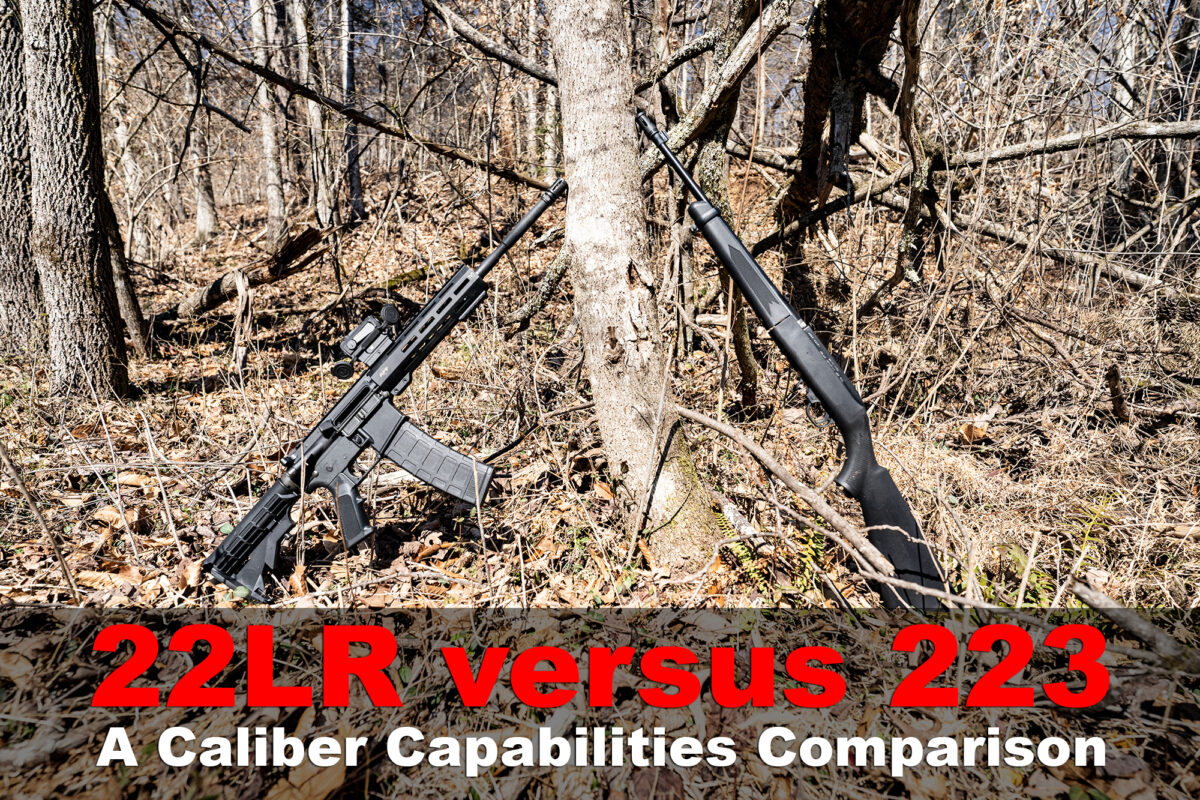 22LR vs 223 | Ballistics and Common Uses Compared