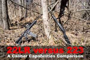 22lr vs 223 rifles side by side in the woods