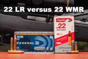 22 LR vs 22 WMR ammo side by side