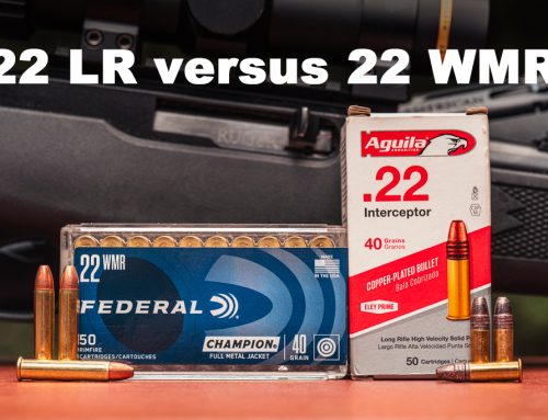 22 LR vs 22 WMR