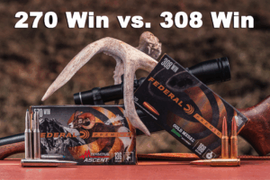 270 vs 308 ammo with a rifle on display at a shooting range