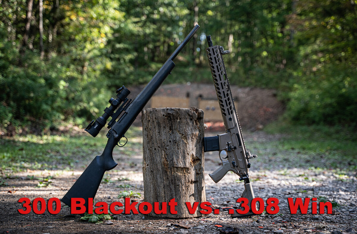 300 Blackout vs 308 | What's the Better Cartridge?