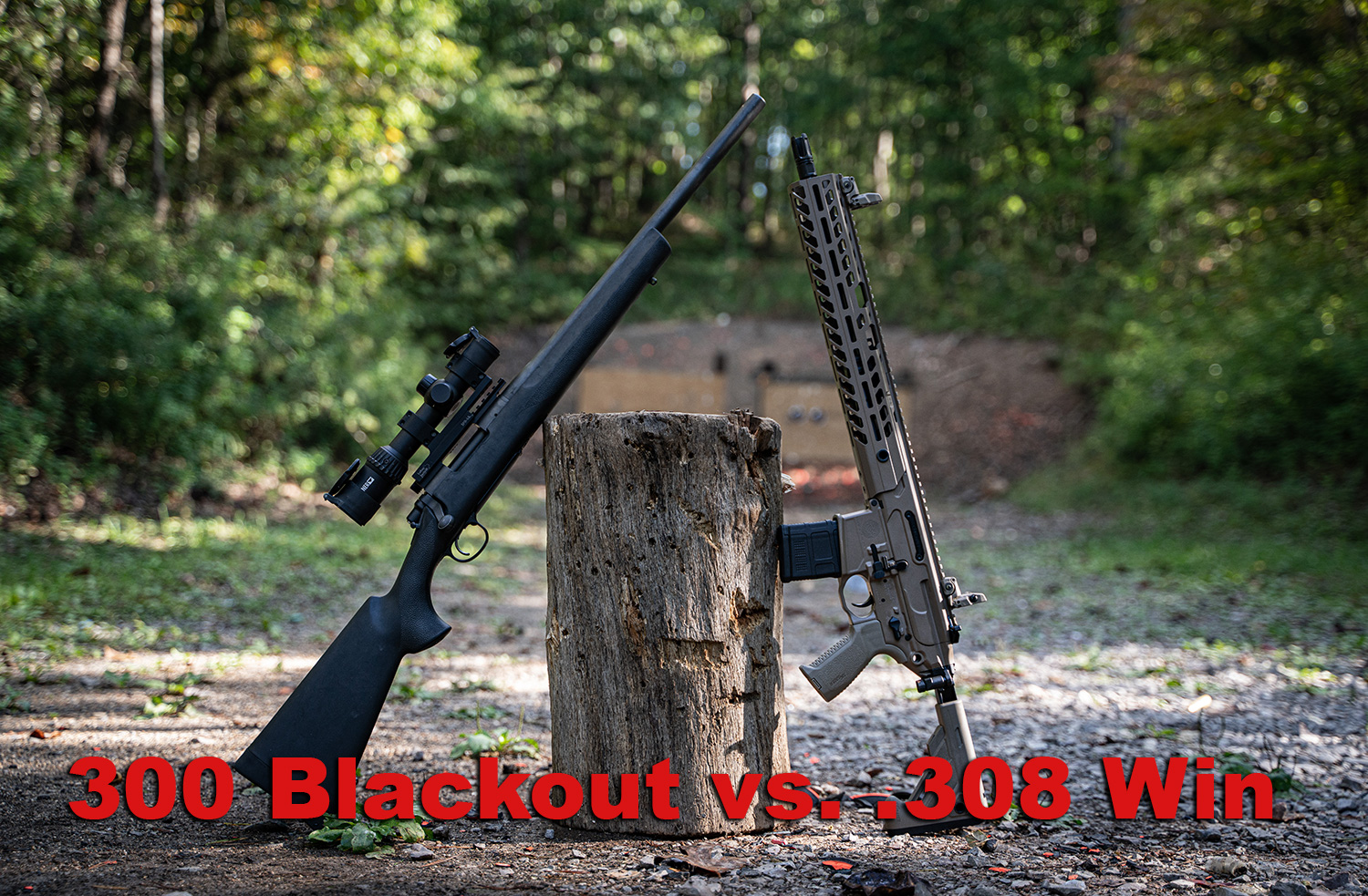 300 Blackout vs .308 rifles side by side