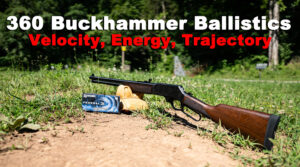 360 buckhammer ballistics