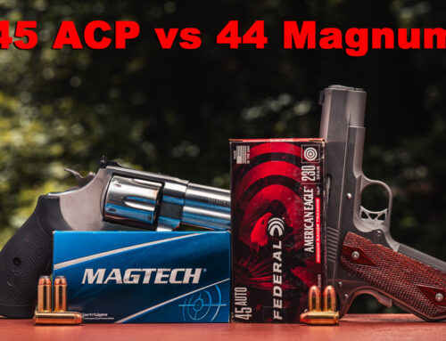 45 ACP vs 44 Magnum