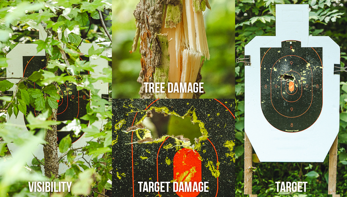 12 gauge buckshot fired through brush into target