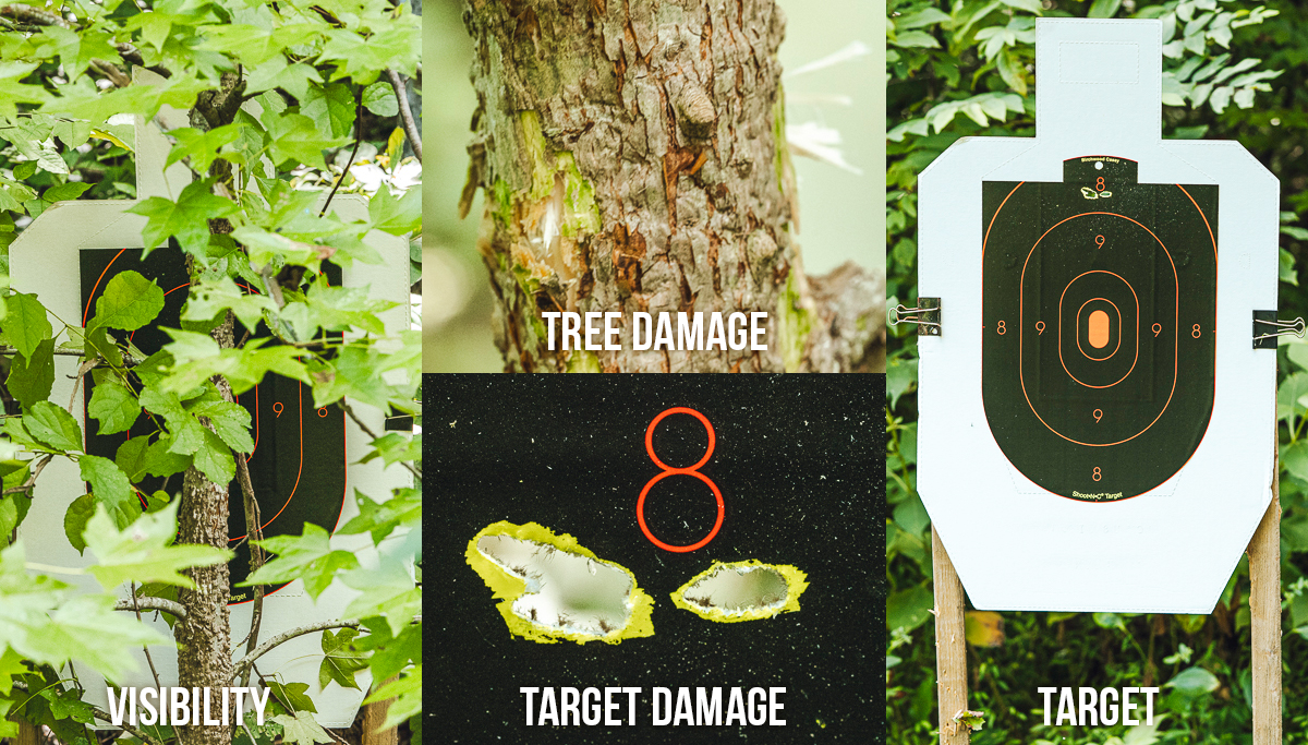 A 223 round fired with an AR-15 through brush into a target