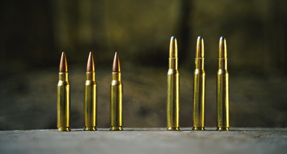 308 Winchester Versus 30 06 Which Cartridge Is "better.