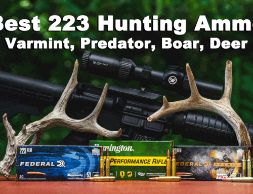 Best 223 Hunting Ammo