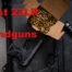 Best 22LR ammo for handguns