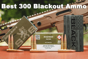 Best 300 blackout ammo options
