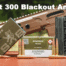 Best 300 blackout ammo options