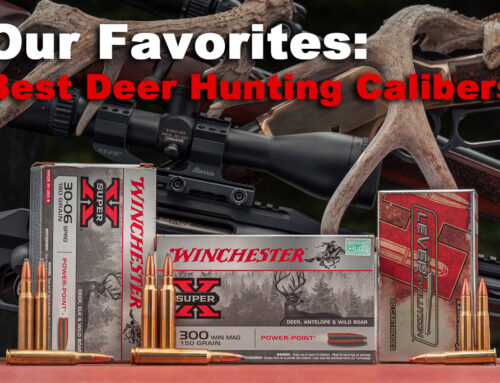 Best Caliber for Deer Hunting