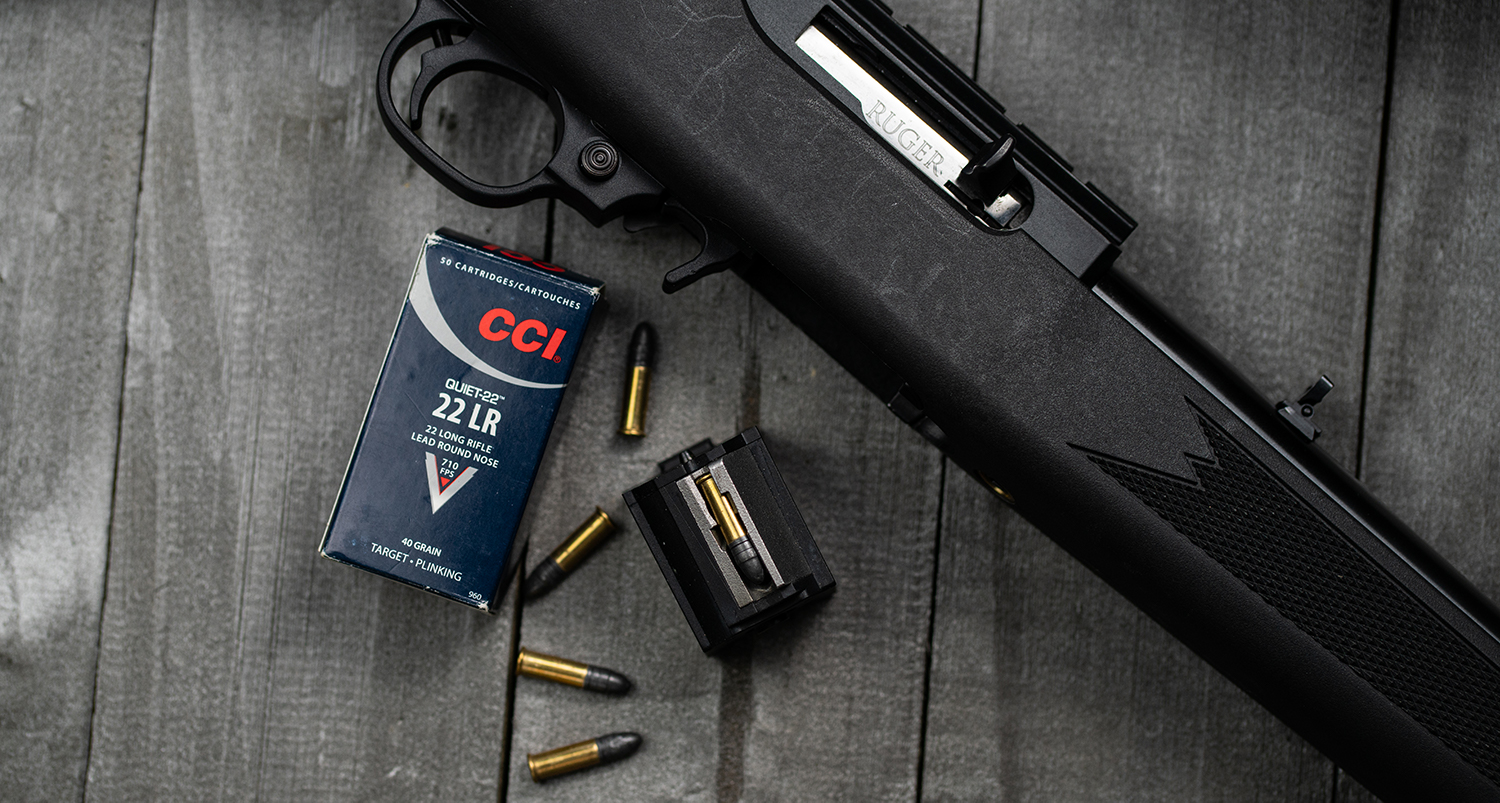 one of the Best 22LR Hunting Ammo options, CCI Quiet