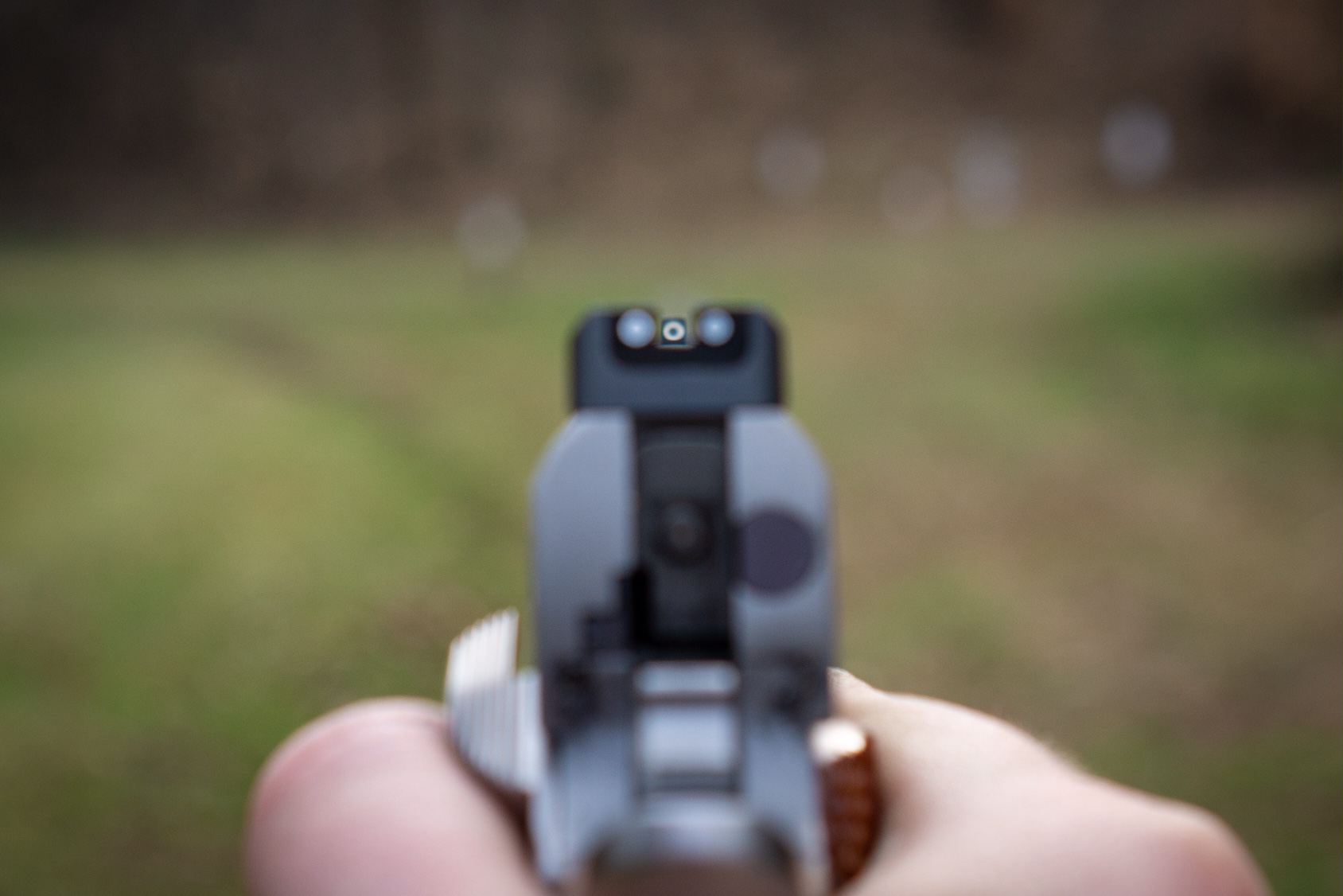 Looking downrange through Dan Wesson 1911 Sights