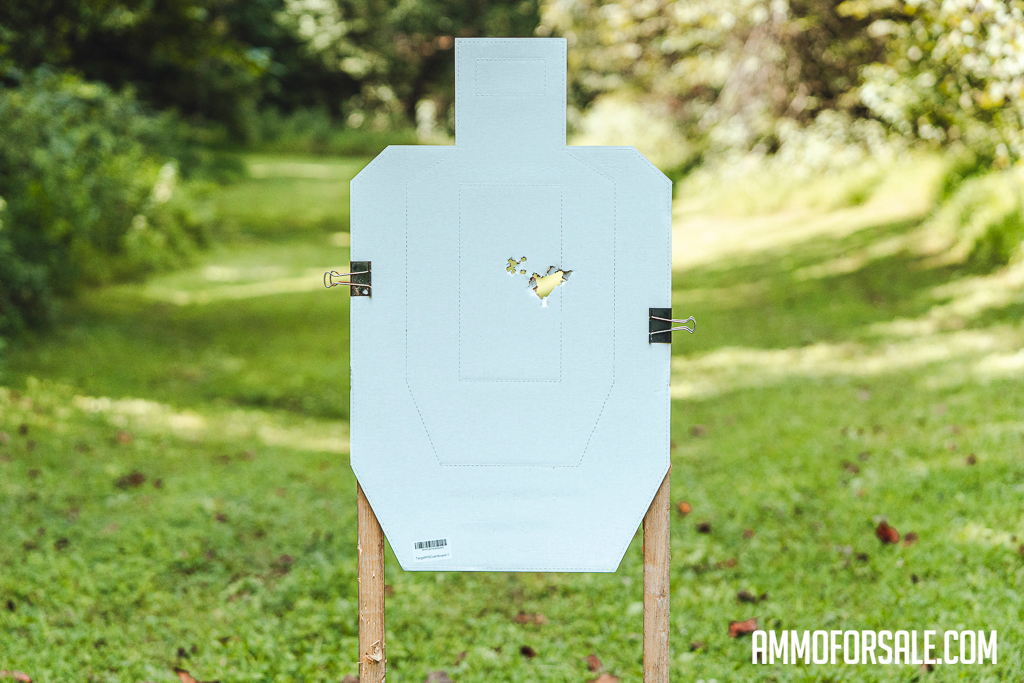 A cardboard target hit with 12 gauge buckshot