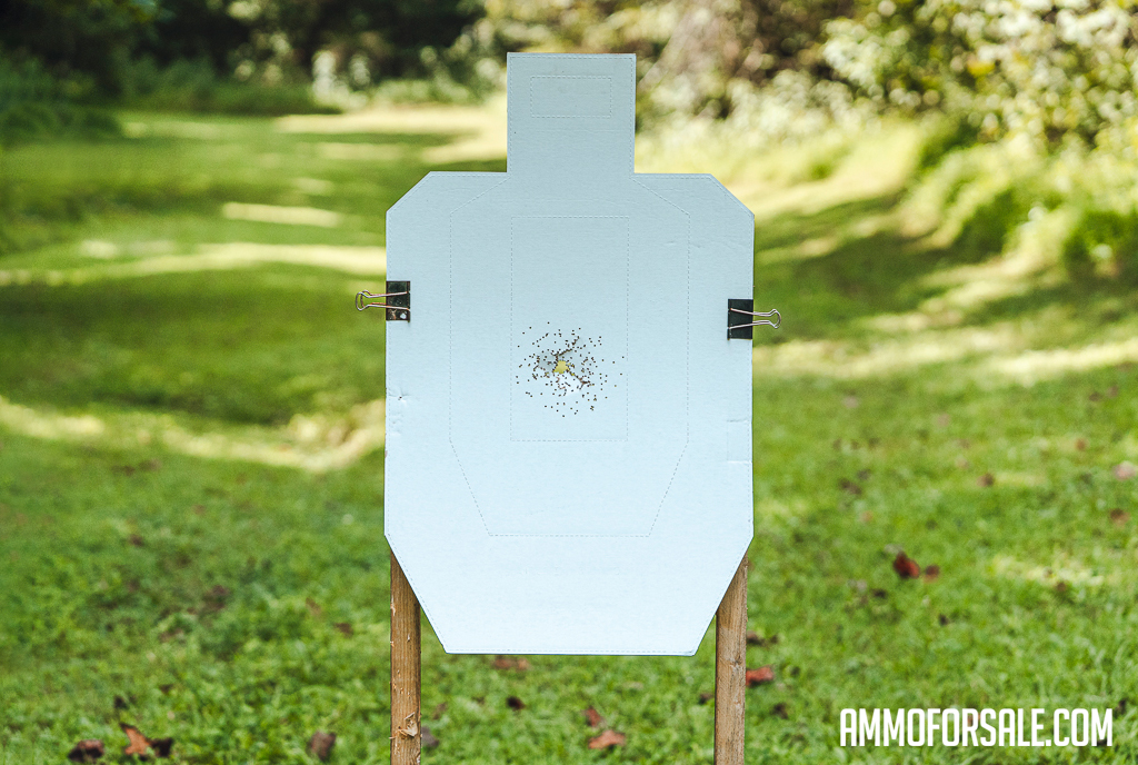 12 gauge birdshot fired into a cardboard target.