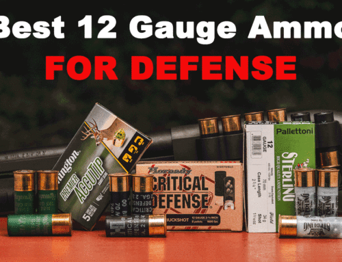 Best 12 Gauge Ammo for Defense
