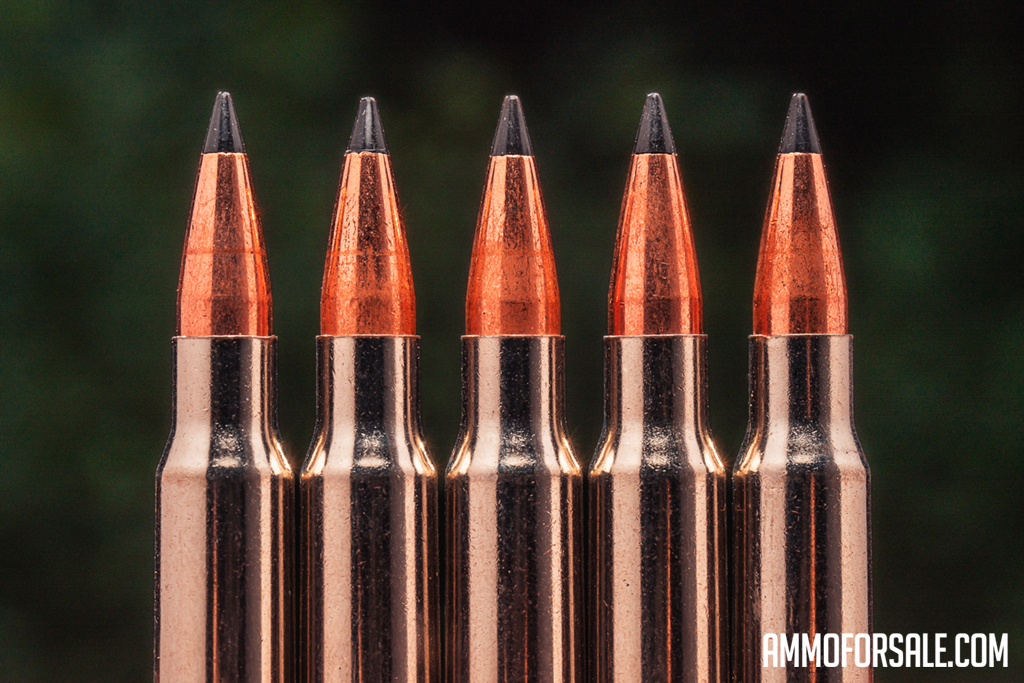 Scirocco bullets Scirocco bullets in loaded rifle ammo lined up