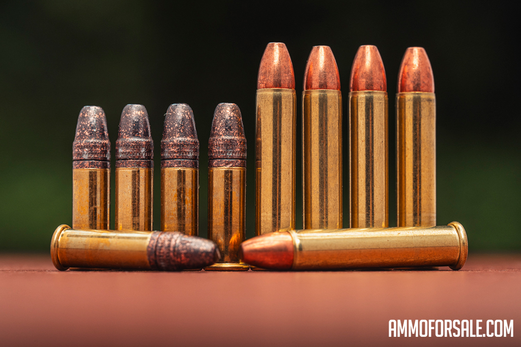 22 LR side by side with 22 WMR