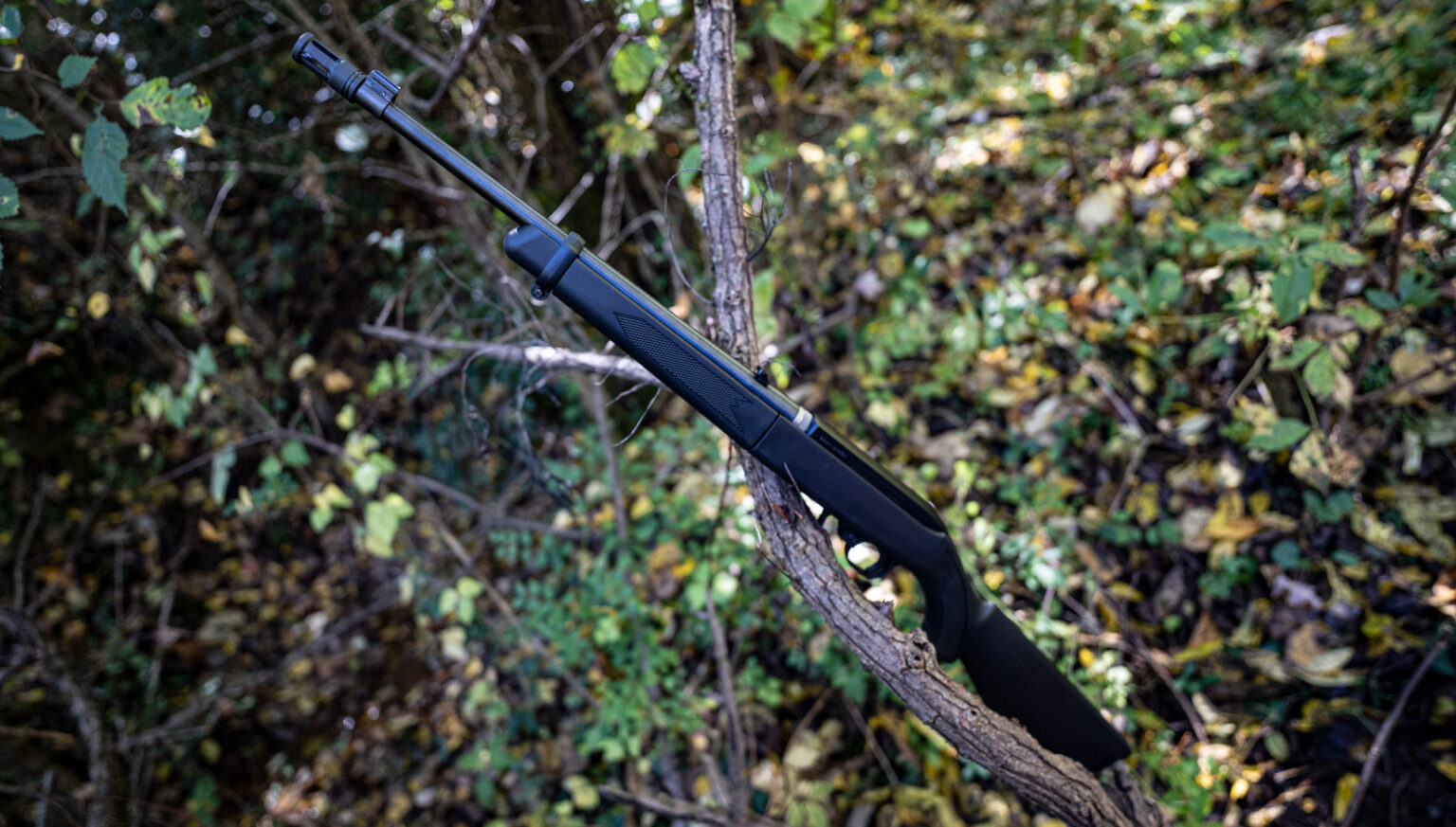 What Can You Hunt With A 22?