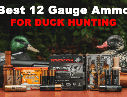 Best 12 Gauge Ammo for Duck Hunting