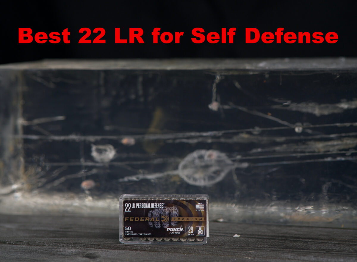 Best 22 LR Ammo for Self Defense | AmmoForSale.com