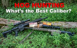 two of the best calibers for hog hunting in the woods