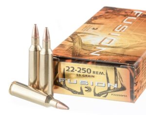 22 250 rifle ammo