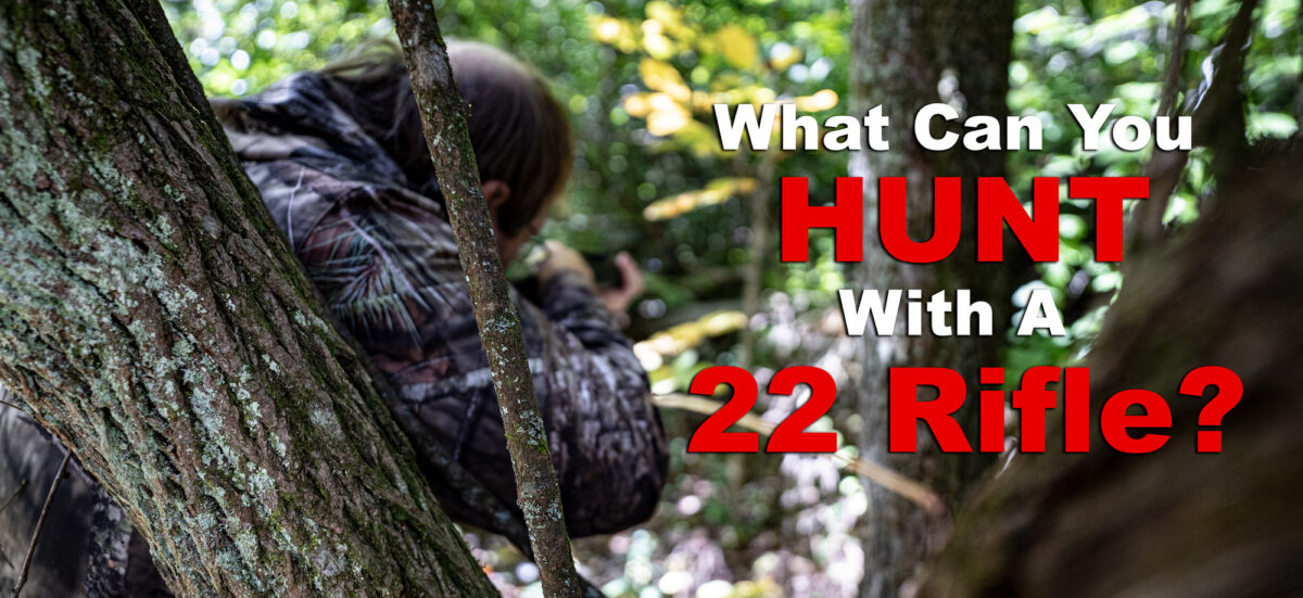 What Can You Hunt With A 22? | AmmoForSale.com