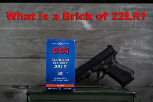 brick of 22lr ammo with a pistol