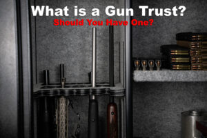 firearms in a gun safe
